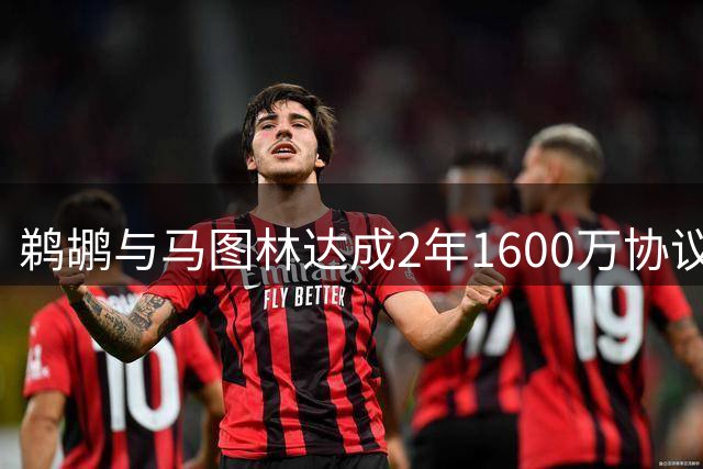 鹈鹕与马图林达成2年1600万协议 含球员选择权